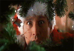 Day 23, catapulting squirrel